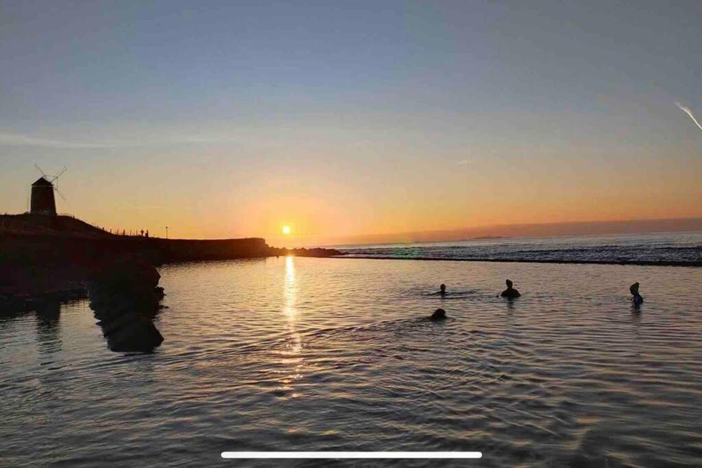 No3 By The Sea A 5 Star Cozy Coastal Cottage Saint Monance Ngoại thất bức ảnh